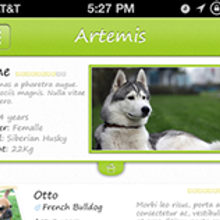 That's my Dog. Projekt z dziedziny Doradztwo kreat, wne, Projektowanie informacji, Projektowanie interakt, wne, Multimedia, UX / UI i Design użytkownika Carlos Fernández Martínez - 11.08.2015