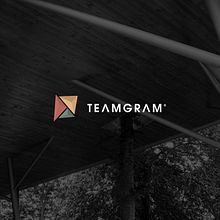 TEAMGRAM® | Branding. Br, ing, Identit, Art Direction, and Graphic Design project by Pablo Chico Zamanillo - 02.15.2014