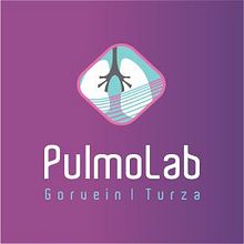 Pulmolab - Diseño y Desarrollo Web. Web Development, and Web Design project by Rodrigo Gomez - 07.16.2015