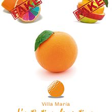 Clementina Villa Maria. Un proyecto de Dirección de arte, Diseño y Publicidad de Carlos Rivas Fernández - 29.02.2012