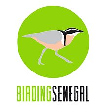 Identidad Corporativa Birding Senegal. Graphic Design, and Web Design project by Sara Palacino Suelves - 08.23.2015