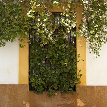 Cordo_be. Een project van Fotografie van Nacho Bermón - 25.08.2015