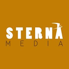 Branding e Identidad Sterna Media. Information Design, Br, ing, Identit, Graphic Design, and Design Management project by Víctor de Vicente - 08.30.2015