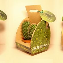 Cactus Packaging. Un proyecto de Diseño, Diseño de producto, Diseño gráfico y Publicidad de Lourdes casas muñoz - 01.09.2015