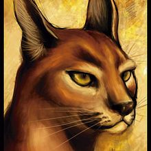 Caracal. Un proyecto de Ilustración tradicional de Iris de la Mora - 03.06.2015