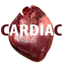 Cardiac (Music). Music project by Proyecto Digital - 12.31.2013