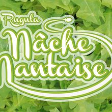 IMAGEN CORPORATIVA NACHE NANTAISE. Graphic Design project by JUAN GRAJALES - 09.05.2015