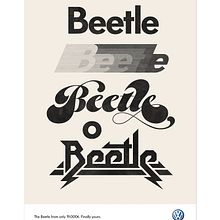 Beetle. T, and pograph project by Marta Cerdà Alimbau - 09.07.2013