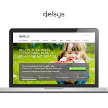 Delsys Diseño Web. Graphic Design, Web Design, and UX / UI project by Eduardo Sáenz Carrer - 09.24.2014