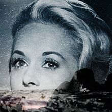 fototrash. Een project van Collage van Chan Tejedor - 11.09.2015