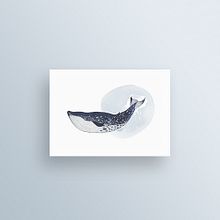 animalario. Traditional illustration project by edurne - 09.12.2015