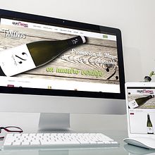 Wen Grupo Taninos Tienda Online. Web Development, and Web Design project by Carlos Mayoral Caballero - 05.12.2015