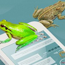 Life Potamo Fauna, proyecto por la conservación de la fauna. Un progetto di Design interattivo, Web design e UX / UI di Víctor Cárdenas Ortiz - 14.09.2015