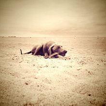 SHE_Imposible no crujirla a fotos con el móvil 2.... Een project van Fotografie van jordi tost - 15.09.2015