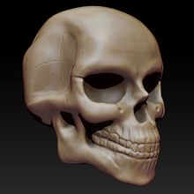 Skull. Un proyecto de 3D de Ivan Moreno - 15.09.2015