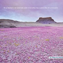 Creatividad gráfica. Un projet de Conseil créatif, Direction artistique, Design , Design graphique , et Publicité de Javier Miguel López - 15.09.2015