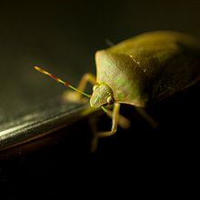 Fotografía 40mm. Un projet de Photographie de Jaime González Llistó - 16.09.2015