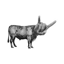 Brau de Bot. Un progetto di Collage, Design, Product design, Graphic design e Packaging di Ignasi Portales Rius - 20.09.2015