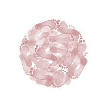 Verema d'Alella 2007. Un progetto di Design, Design editoriale e Graphic design di Ignasi Portales Rius - 24.09.2015