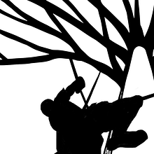 Arboristas. Un proyecto de Diseño y Diseño gráfico de martamartinez - 25.09.2015
