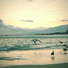 Video poema: "Quien lo probó...lo sabe".. Photograph, and Video project by Mariela Katiuska Baez Ramirez - 09.27.2015