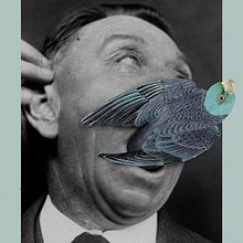 Birds. Fine Arts, Collage, Design, and Graphic Design project by Marcos Martínez - 09.27.2015