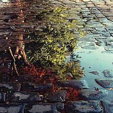FOTOGRAFIA. Un proyecto de Fotografía de Laura Márquez - 27.09.2015
