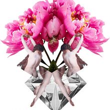 Dejemos que en otoño las hojas caigan,apresurar la caida sería un error.// Waltzing Mathilda //. Un proyecto de Br, ing e Identidad, Collage, Diseño de producto y Diseño editorial de Jen Díez - 27.09.2015