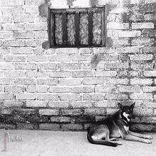 EN BLANCO Y NEGRO el color de la melancolía  . % Aideé Constantino tarafından hazırlanan Tasarım, Ve Fotoğrafçılık projesi - 09.27.2015