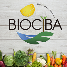 Biociba. Br, ing, Identit, and Graphic Design project by Carlos Mayoral Caballero - 10.08.2015