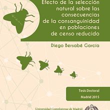 Tesis doctoral. Education project by M.A. Serralvo - 02.05.2015