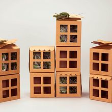 Biophilic Flats. Packaging project by Miren Camara Egaña - 08.09.2015