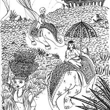 Illustration inspired by India. Traditional illustration project by Alice Vettraino - 02.17.2015