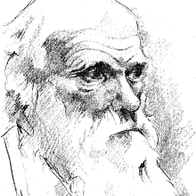 Las caras de la ciencia. Un progetto di Illustrazione tradizionale di base12 - 27.09.2014