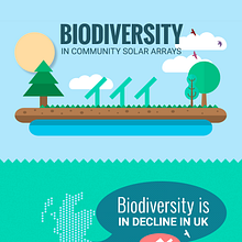 Diseño de infografía: "Biodiversity in community solar arrays" Ein Projekt aus dem Bereich Informationsdesign und Grafikdesign von Manuel Ortiz Domínguez - 07.10.2015