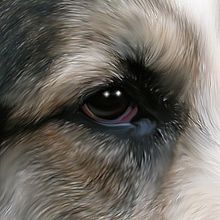 A mi gran amigo Flash . Ilustrasi tradisional proyek oleh Txon Senshak - 10.24.2015