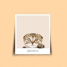 No seas indiferente. Un proyecto de Diseño gráfico de Pedro Molina Muñoz - 26.10.2015