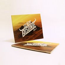 Señor Bisonte Branding/Cover Album. Br, ing, Identit, Design, and Product Design project by Manuel Berlanga - 10.26.2015