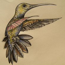 Apparent Animalia. Un proyecto de Ilustración tradicional y Pintura de Santiago Gomez Cordente - 27.10.2015