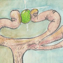 Olives (2015). Animation project by Juanca Arniz - 07.28.2015