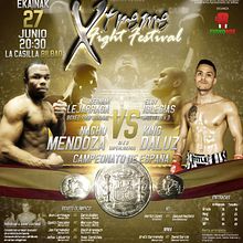 Póster Xtreme Fight Campeonato España. Un proyecto de Diseño gráfico de Unai - 14.06.2014