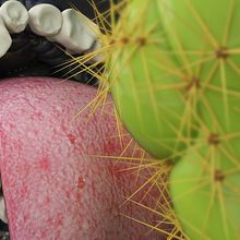 Senses. 3D, Animation, and Art Direction project by Andreé Chujutally Mejía - 10.30.2015