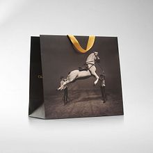 Imagen corporativa y packaging de Cartujano. Br, ing, Identit, and Packaging project by Pati Nuñez - 05.31.2014
