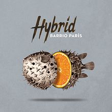 "Hybrid" album cover for Barrio París. Un proyecto de Dirección de arte, Diseño gráfico e Ilustración tradicional de Yeray Vega Fernandez de Labastida - 05.11.2015