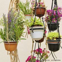 Mini jardín con cápsulas de café Dolce Gusto - Reciclado, reciclaje, upcycling. Un progetto di Artigianato di Rosa Montesa Reciclado Creativo - 09.06.2015