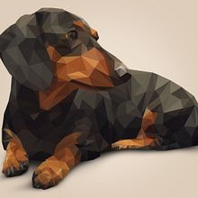 Low Poly Dachshund. Design, Graphic Design, and Traditional illustration project by Julio Romero - 11.06.2015