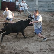 Ruta Quetzal BBVA. Un progetto di Pubblicità, Educazione, Eventi, Cinema, Cinema, video e TV, Marketing, Fotografia, Postproduzione fotografica, TV e Video di Javier Ignacio Arevalo Carreño - 09.11.2015