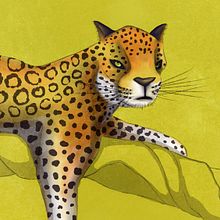 Jungle. Un progetto di Illustrazione tradizionale di Sandra Mora Ayala - 10.11.2015