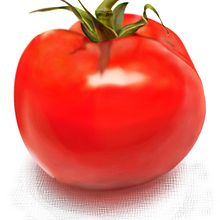 Dibujo tomate. Graphic Design, and Traditional illustration project by Alex Goienetxea - 04.12.2013