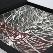 Geometría natural. Un proyecto de Bellas Artes, Fotografía y Serigrafía de Marta Lopez - 20.11.2015